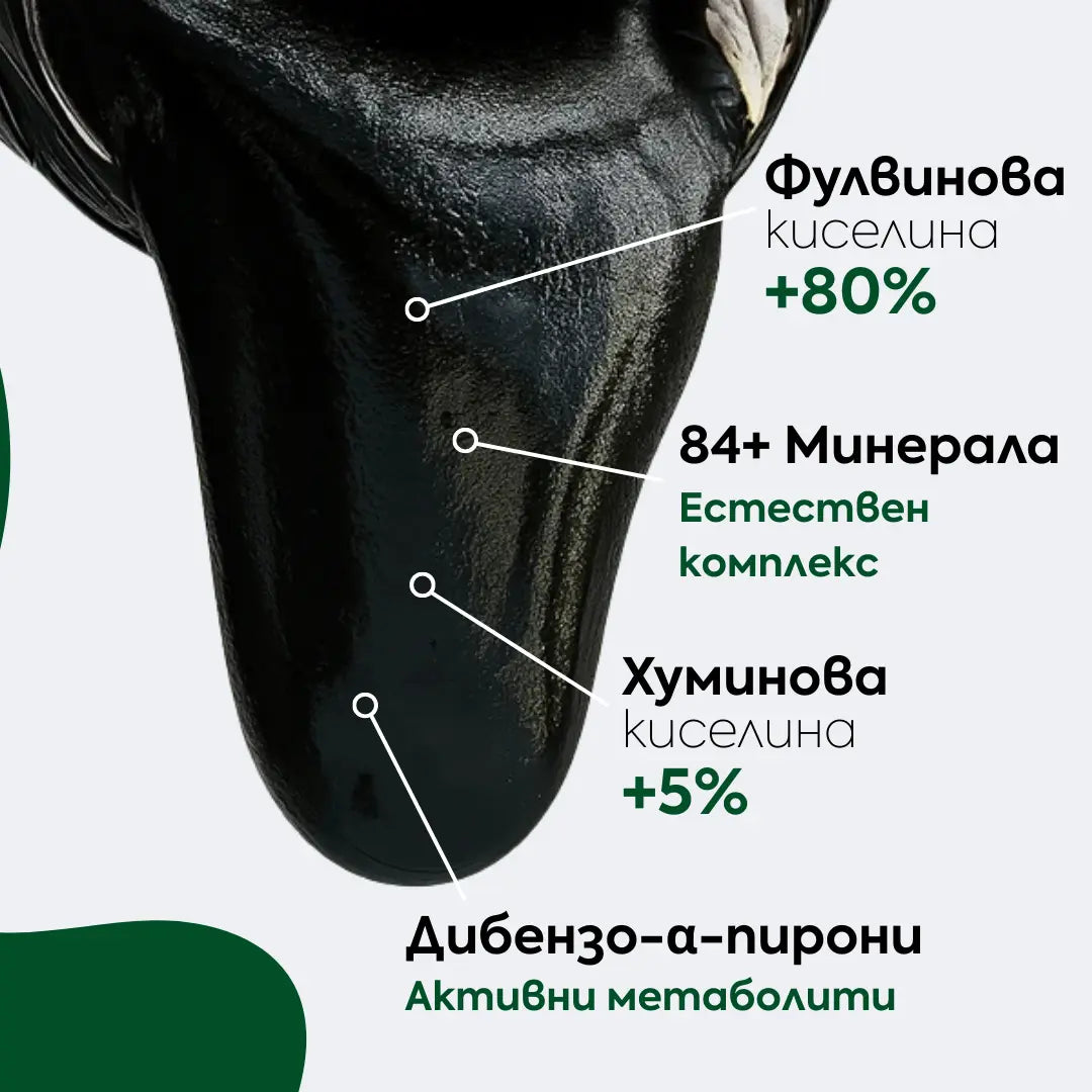 Хималайски шилажит смола ZANNIRA CORE 5000 - 30гр.