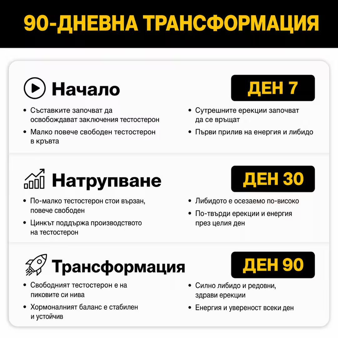 FreeT - ПОВИШИ НИВАТА СИ